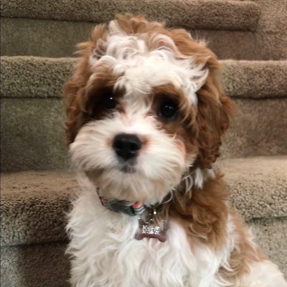 ***MAKE AN OFFER***BUNDLE FOR A BIGGER DISCOUNT***